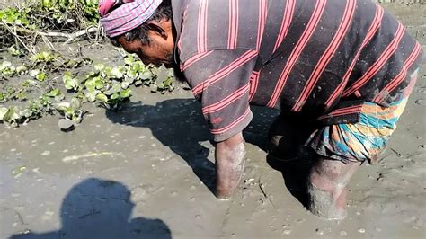 Amazing Best Mud Water Fishing Unique Catching Mud Fish People