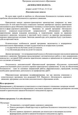 Программа дополнительного образования