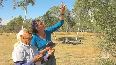 Australias Biodiversity Indigenous Perspectives Youtube