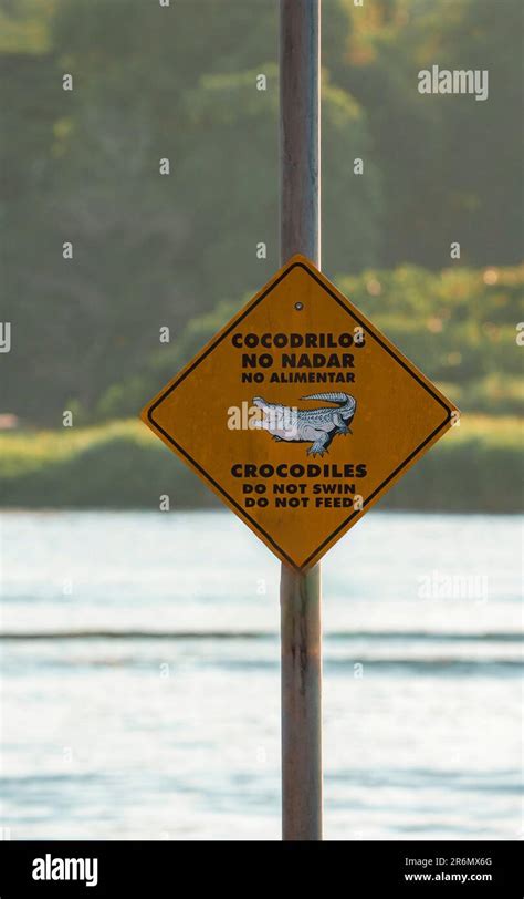 Caution Crocodile Area Do Not Swim And Do Not Feed Message On Signboard