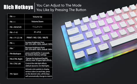 Amazon Xvx Womier K Pro Hot Swappable Dual Rgb Backlit Mechanical Gaming Keyboard