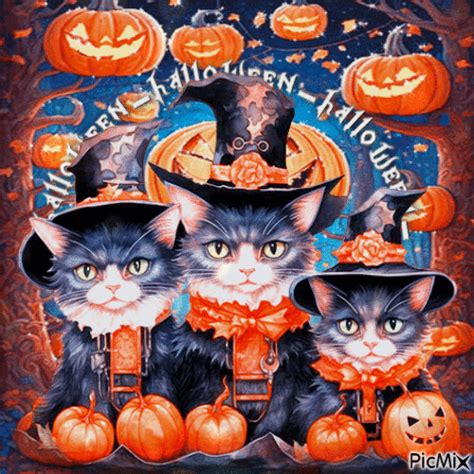 Halloween Cat Greeting Gif Pictures, Photos, and Images for Facebook ...