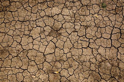 Europe Seeing Worst Summer Droughts For 2 000 Years Study Decanter