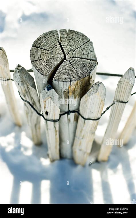 Wooden fence post Stock Photo - Alamy