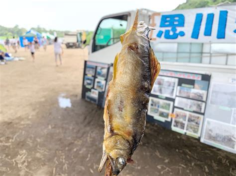 【おやま思川アユ祭り】4年ぶりに開催・つかみどりの申込みは7月1日から｜小山市 とちぎびより