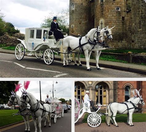 Horse & Carriage Wedding Service | Horsedrawn Occasions