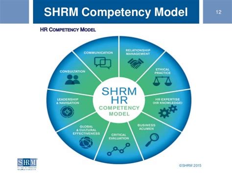 Hr Competency Model: A Road Map for Success