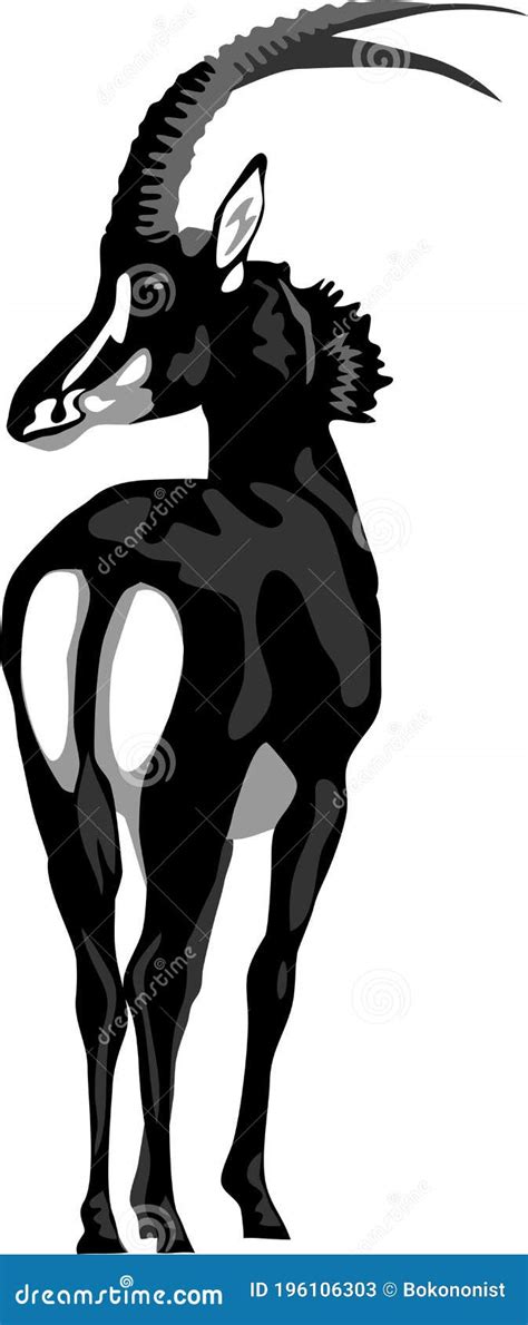 Sable Vector Illustration 56032982