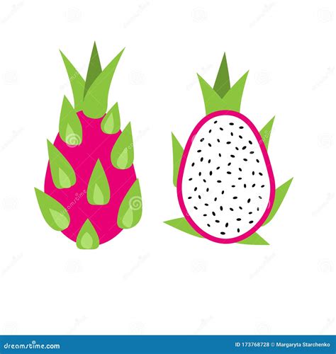 Dragonfruit Vector Icon Stock Vector Illustration Of Item 173768728