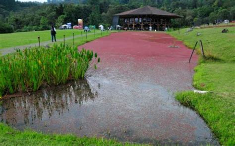 Sitios turísticos en Manizales para visitar en Semana Santa