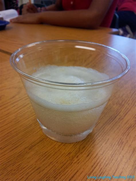 Living Laughing Teaching The Naked Egg Experiment