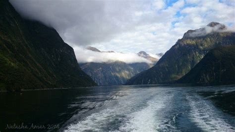 Milford Sound In Pictures Breathtaking Fiords In New Zealands South