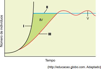 Aio O Grafico Representa Duas Curvas De Crescimento