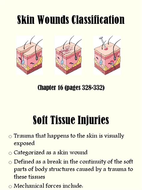 Skin Wounds Classifications Full Pdf Wound Methicillin Resistant