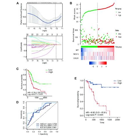 Development Of Signature Genes In TCGA Cohort A LASSO Regression