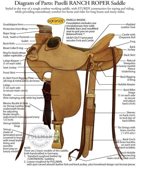 Parts Of Western Saddle Diagram