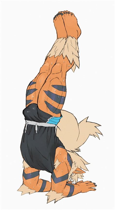 Twitter Arcanine GP Brutal GP Bear GP Cock GP Ass GP