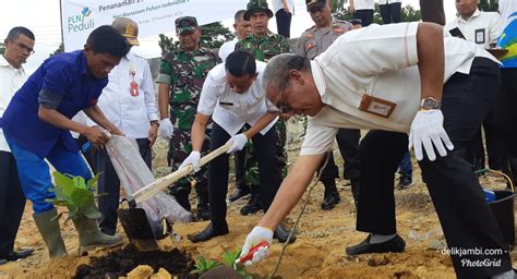 Pln Up Muara Bungo Dan Forkopimda Tanam Pohon Di Hari Menanam Pohon