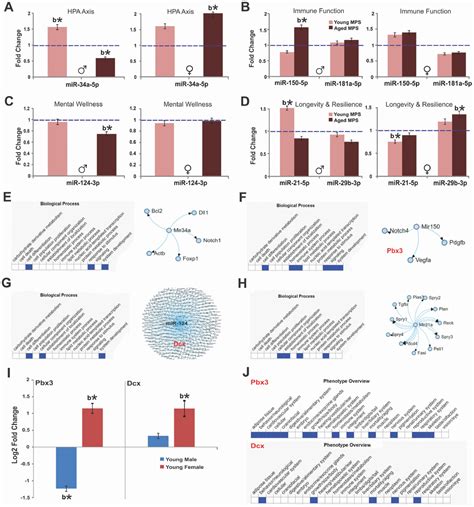 Ancestral Stress Programs Sex Specific Biological Aging Trajectories And Non Communicable