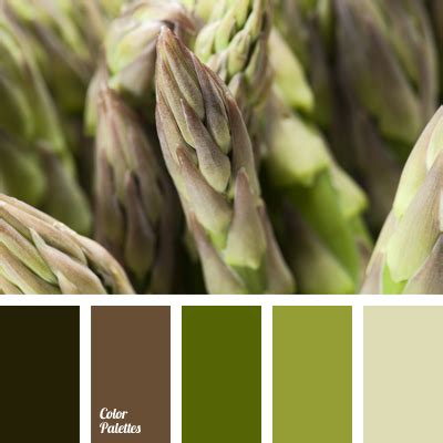 dark olive | Color Palette Ideas