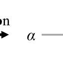 (upper panel) Tensor network diagrams. Each rank-n tensor is ...