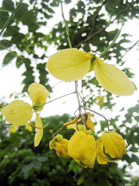 little daisy's world: February 2011