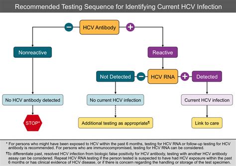 Core Concepts Hepatitis C Diagnostic Testing Screening And Diagnosis Of Hepatitis C