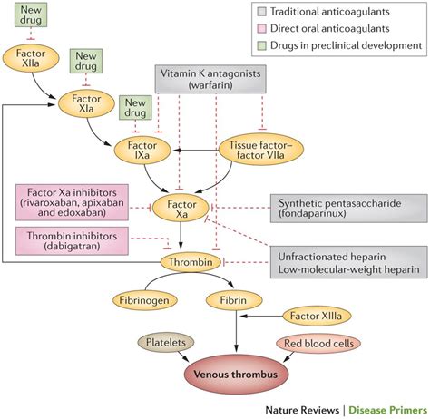 Project Overview Nanowolves