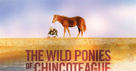 The Wild Ponies of Chincoteague | PBS