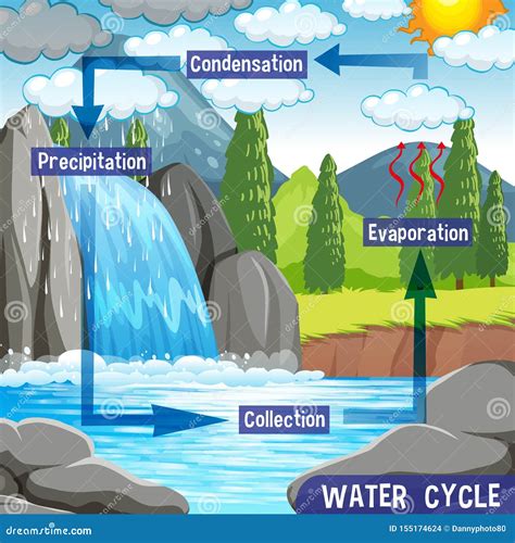 Water Cycle Process On Earth Scientific Stock Vector Illustration