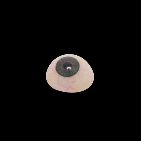 Cosmetic Shell Prosthetic Eye Artificial Eye Shell Duplicate Eye आर्टिफिशियल आई In Malad