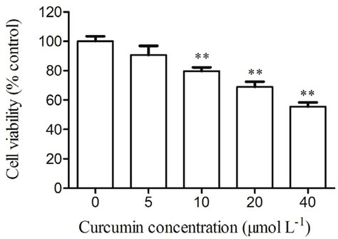 The Effects Of Curcumin On The Viability Of A Cells A Cells Were