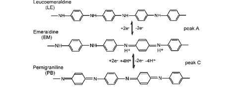 Different Pani Oxidation States Download Scientific Diagram