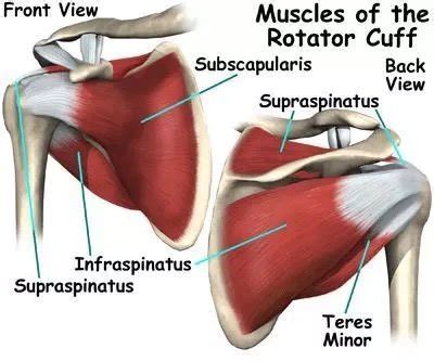 Physical Therapy For Rotator Cuff Tendonitis The Game Plan Physical