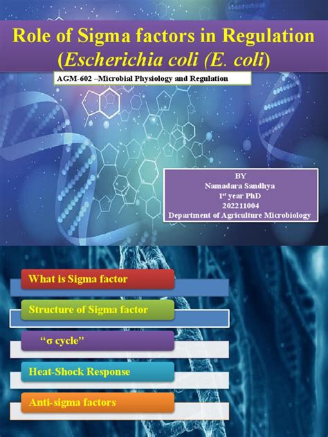 Role of Sigma Factor | PDF | Chemistry | Structural Biology