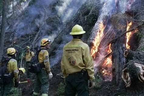 Los Incendios Forestales En La Patagonia No Dan Tregua Y Varias