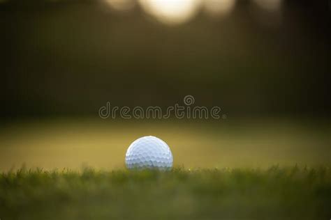 Golf Ball On The Green Grass Of A Golf Course In Sunlight Stock Image Image Of Closen Club