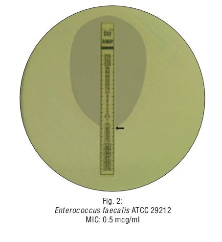 RIDACOM Comprehensive Bioscience Supplier Ampicillin