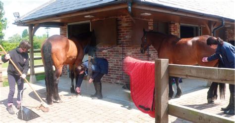 Horse Friendly Accommodation – Grange Farm Country Cottages