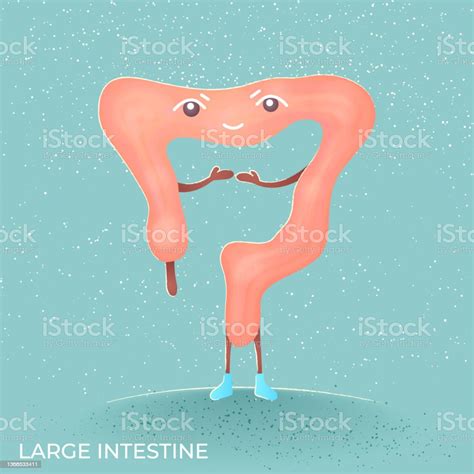 Lustige Illustrationen Anatomisches Bild Menschlicher Organe Stock