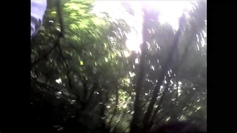 Nel Bosco Rough Sex Rough Sex Porn XHamster