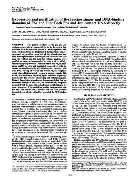 (PDF) Expression and purification of the leucine zipper and DNA-binding ...