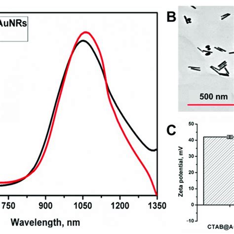 A Absorption Spectra Of AuNRs And PAuNRs B TEM Image Of AuNRs