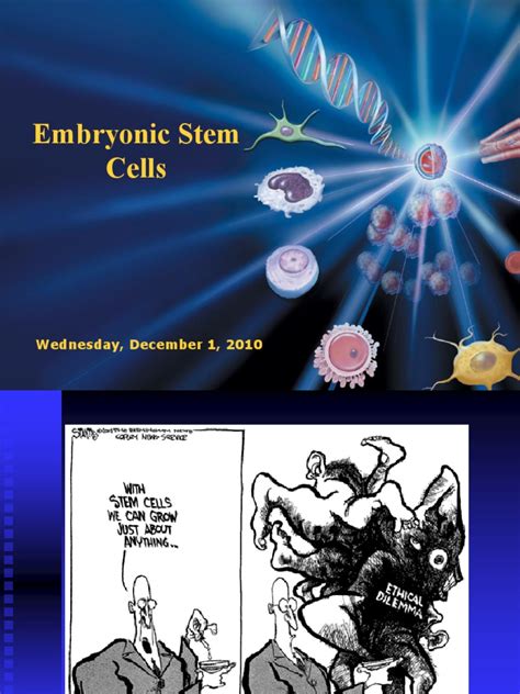 PDF Embryonic Stem Cell DOKUMEN TIPS