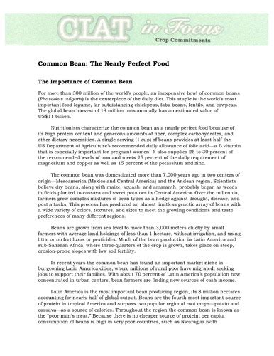 Common bean: the nearly perfect food | Alliance Bioversity ...