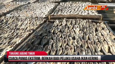 Cuaca Panas Ekstrim Berkah Bagi Pelaku Usaha Ikan Asin Youtube