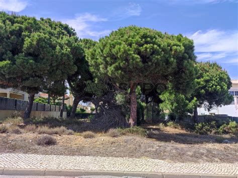 Terreno Urbano Venda Em Loul Almancil Vale Do Garr O