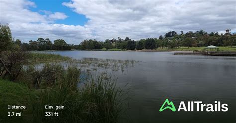 Lilydale Lake Via Hull Road Wetlands 82 Fotos Victoria Australien