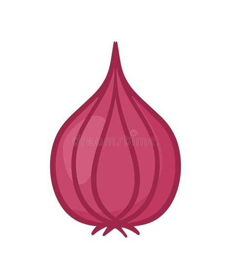 Shallot Red Onion In Hand Drawing Icon Clip Art Vector Animated Cartoon