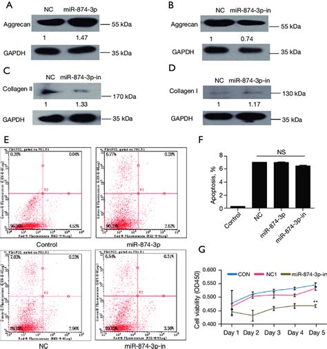 Important Diagnostic Role Of Mir P In Idd Pathology A